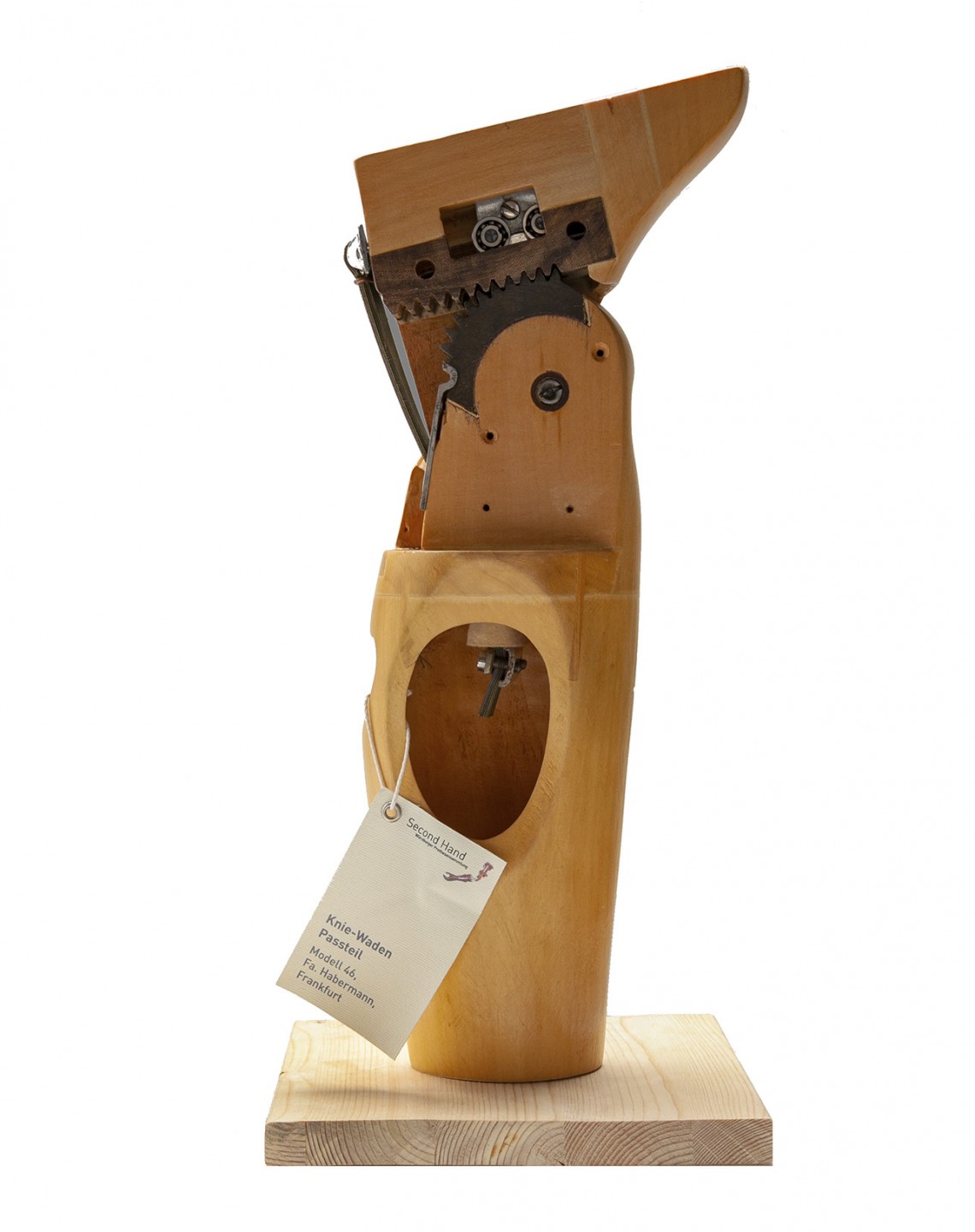 Hölzernes Schnitt-Modell eines sogenannten Knie-Waden-Passteils mit Zahnrad-Zahnstange Gelenk