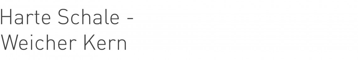 Texttafel für diese einzelne Webseite mit Beschriftung Harte Schale - Weicher Kern