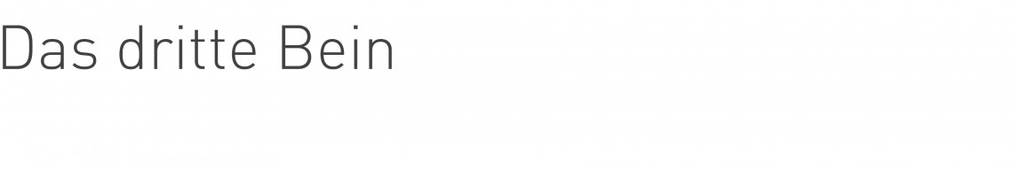 Texttafel für diese einzelne Webseite mit Beschriftung Das dritte Bein