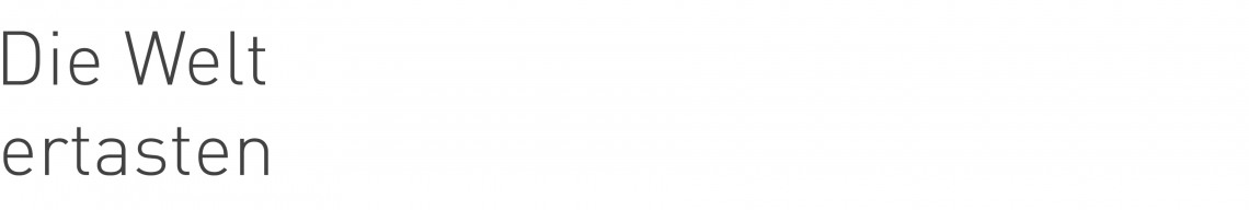 Texttafel für diese einzelne Webseite mit Beschriftung Die Welt ertasten